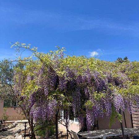 Le Clos Des Olivettes Sainte-Croix-de-Quintillargues Buitenkant foto